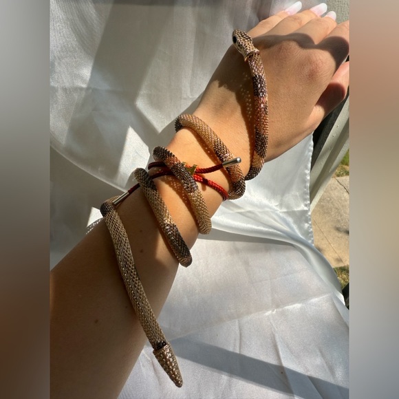 Serpentine Snake Design Wrap Necklace serpent multi - Picture 9 of 13